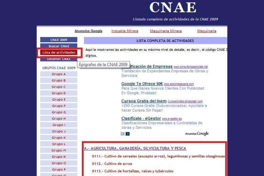 ¿Dónde puedo encontrar la lista completa de códigos CNAE España 2025?