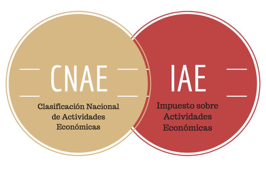 ¿Cuál es la relación entre CNAE, INE y la Agencia Tributaria?